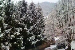 nieve-1
