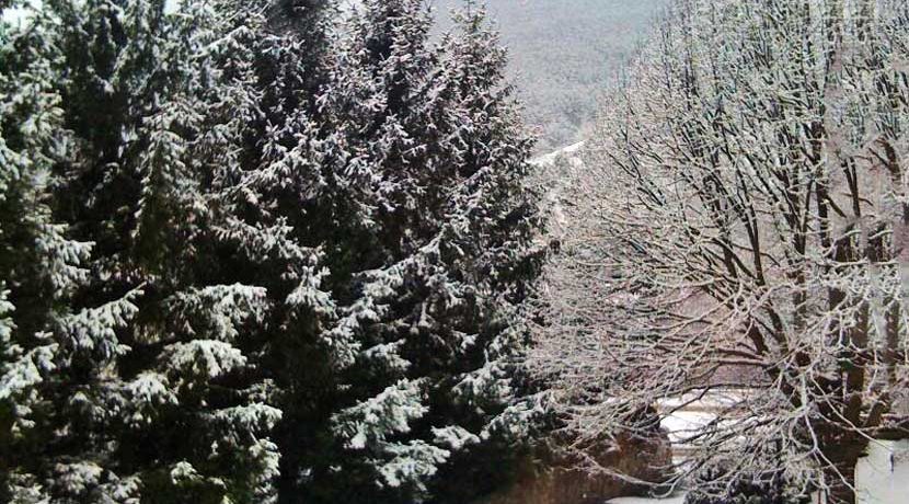 nieve-1