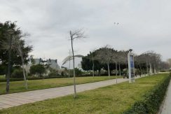 parque5