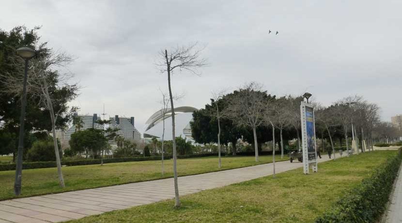 parque5